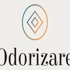 Odorizare - Professional Home Organizers in Lancing, TN