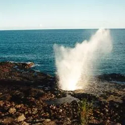 Old Faithful Pump logo