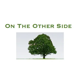 On The Other Side logo