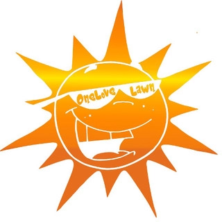 OneLove Lawn logo
