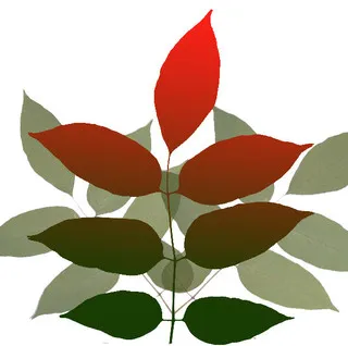 Outdoor Design Solutions logo