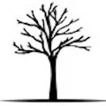Palisades Construction logo
