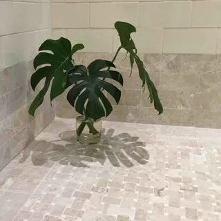 Palmetto Tile Distributors logo