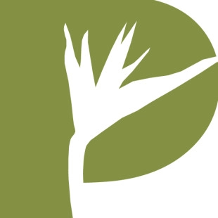Paradise Designs Inc. - Garden Remodeling in Grand Terrace, CA