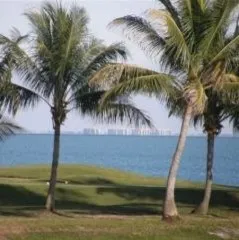 Paradise Island Contracting - Drywall Installation & Repair in Laurel, FL