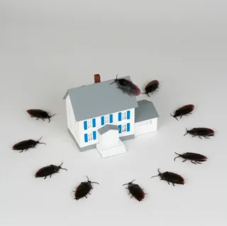 Paredes Pest Control logo