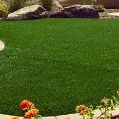 Payless Landscape & Irrigation Services, LLC logo