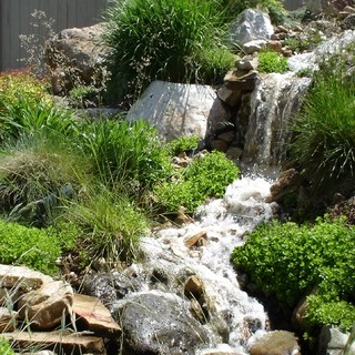 Pebble Creek Design logo