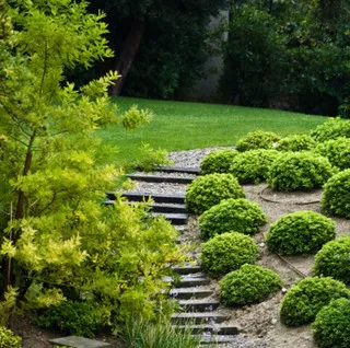 Perez Lawn Care LLC logo