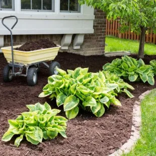 Permian Basin Landscaping logo