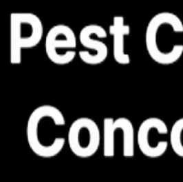 Pest Control Concord NC - Pest Control Services in Huntersville, NC