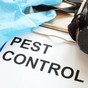 Petroplex Termite Removal Experts logo