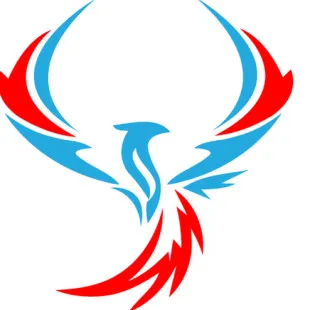 Phoenix Advantage Group logo