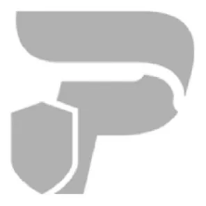 Platinum Plumbing logo