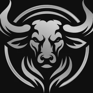 Pliney Ranch Construction logo