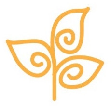 Pots & Plants - Patio Design & Installation in Winchester, VA