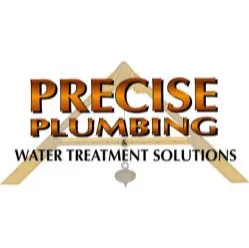 Precise Plumbing logo