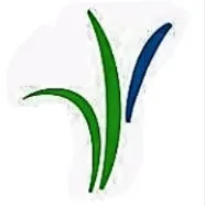 Precision Lawn & Landscaping, LLC - Tree & Shrub Care in Springdale, AR