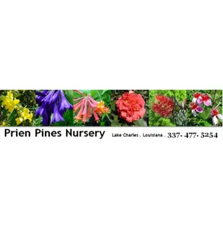 Prien Pines Nursery logo