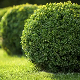 Pro Lawn And Landscape - Landscape Construction in Wetmore, MI