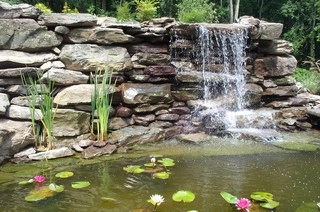 Professional Grounds Inc. logo
