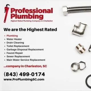 Professional Plumbing logo