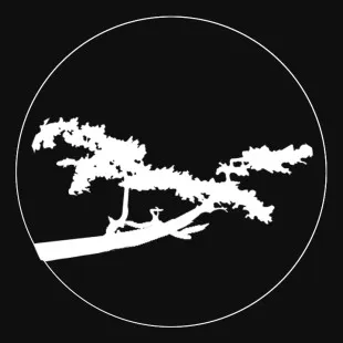 ProScapes logo