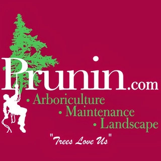 Prunin Arboriculture & Landscape logo