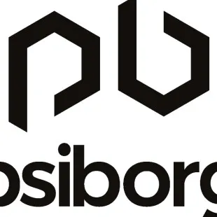PsiBorg logo