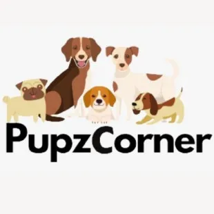 Pupz Corner logo