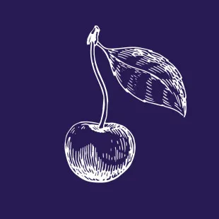 Purple Cherry Architecture & Interiors logo