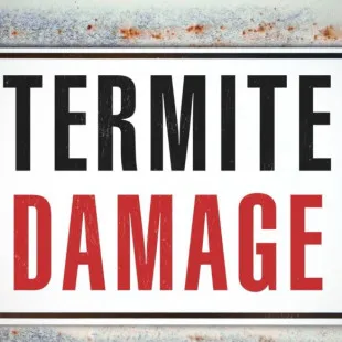 Quaker Graveyard Termite Removal Experts logo