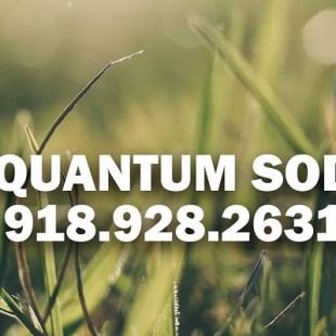 Quantum Sod logo