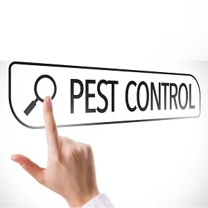 Queen City Termite Experts logo