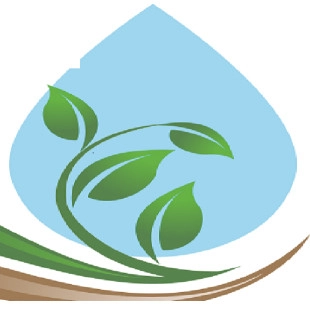 Rain or Shine Landscapes Inc. logo