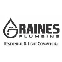 Raines Plumbing LLC logo
