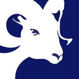 RAM Windows & Doors logo