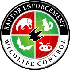 Raptor Enforcement Wildlife Control logo