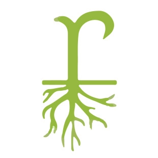 Real Turf Solutions logo
