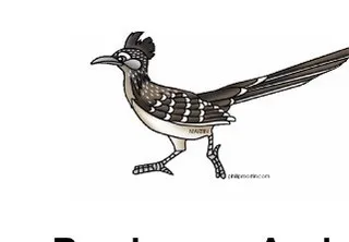 Roadrunner asphalt logo