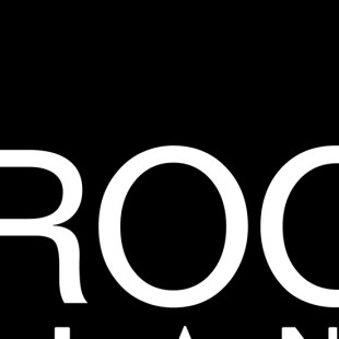 Rock Solid Landscape logo
