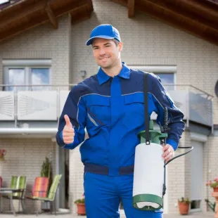 Rocket City Wildlife Control Solutions - Pest Control Services in Hillsboro, AL