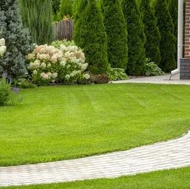 Romo Landscaping logo