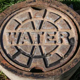 Roto-Rooter Sewer & Drain Service logo