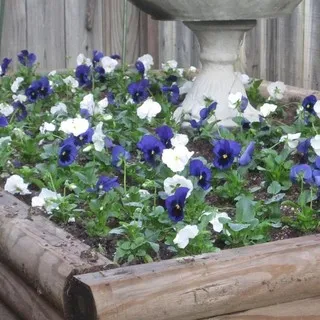 Ruston Landscaping LLC - Design-Build Services in Farmerville, LA