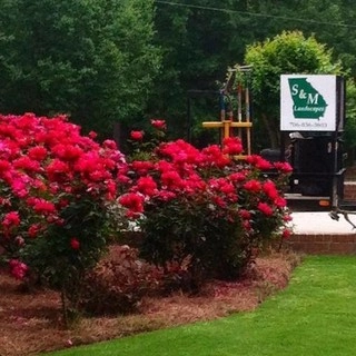 S & M Landscapes logo