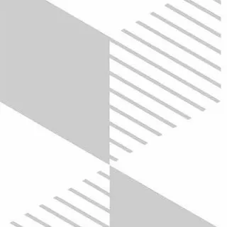 Salinas Pro Works LLC logo