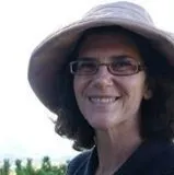 Sally Stoik Landscape Architect logo