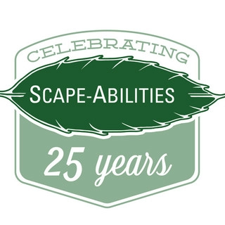 Scape-Abilities logo