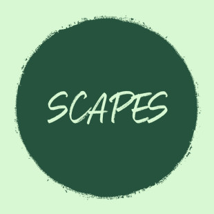Scapes - Landscape Design in Camden Wyoming, DE